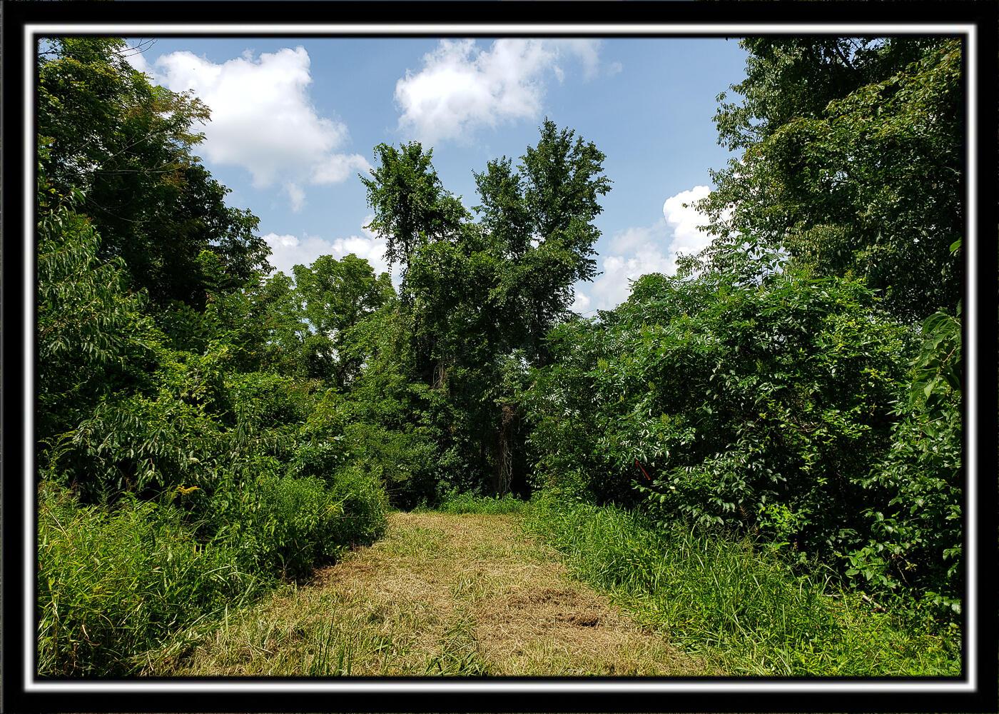 0 Bethel Road, Unit TRACT 4 Patriot, OH 45658 - Photo 23 of 35 CT-23
