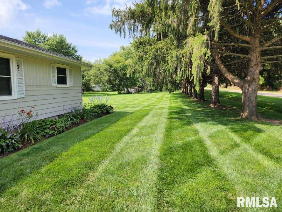 12339 Oakton Road Savanna, IL 61074 - Photo 6 of 31 Gallery Image 6