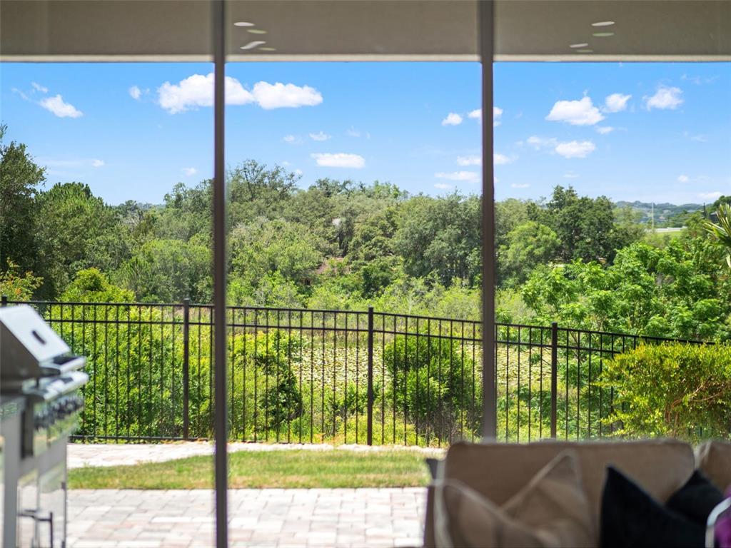 16049 Volterra Point Montverde, FL 34756 - Photo 49 of 78
