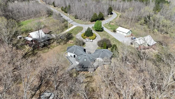 a view of a yard with trees