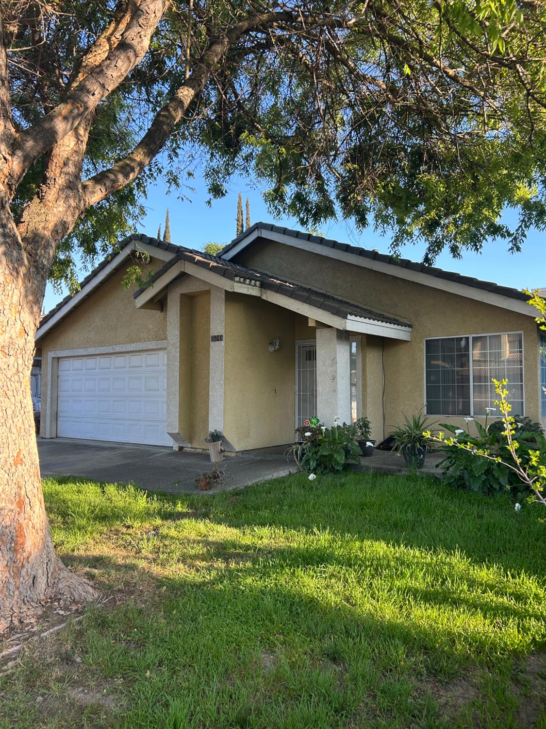 a house that has a tree in it