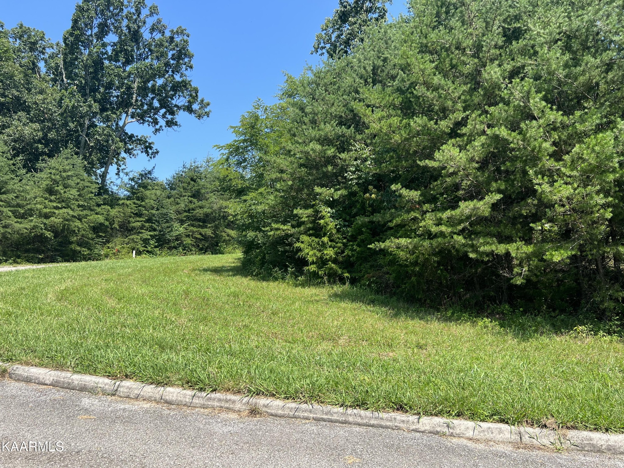 0 High Ridge Road Sweetwater, TN 37874 - Photo 3 of 4 Gallery Image 3