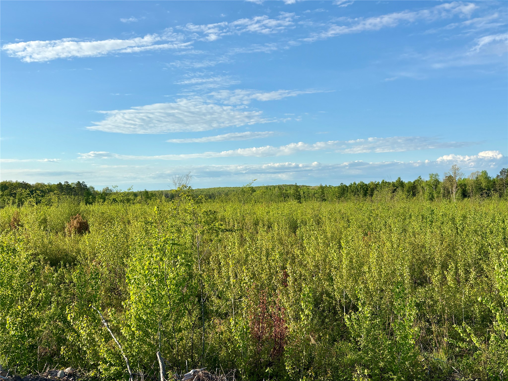 Lot 2 Girod Road Ladysmith, WI 54848 - Photo 20 of 26