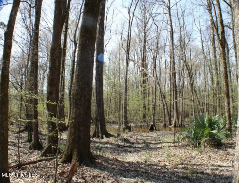 Walnut Road Carthage, MS 39051 - Photo 2 of 5 83.5 Madison