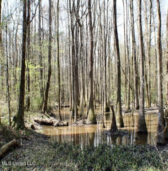 Walnut Road Carthage, MS 39051 - Photo 4 of 5 83.5 Madison