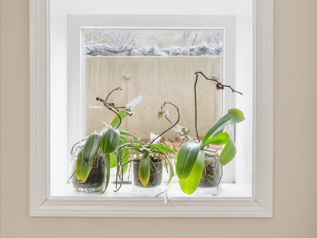 67 Ling Street Fall River, MA 02720 - Photo 30 of 32 a vase of flowers sitting on a shelf with a window