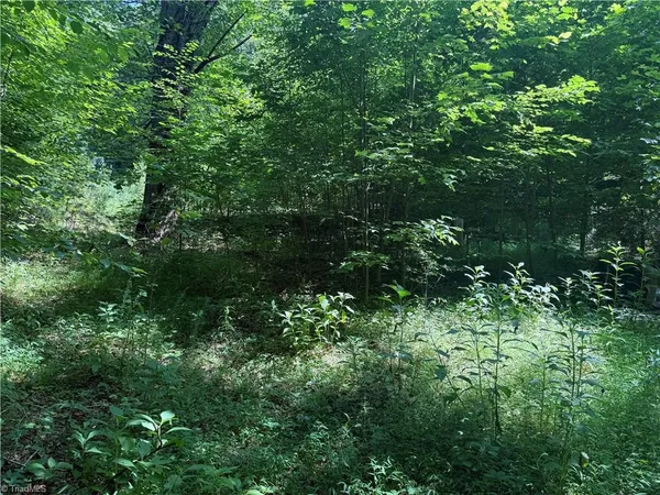 $20,000 | 24 Copperhead Road, Cana, VA 24317