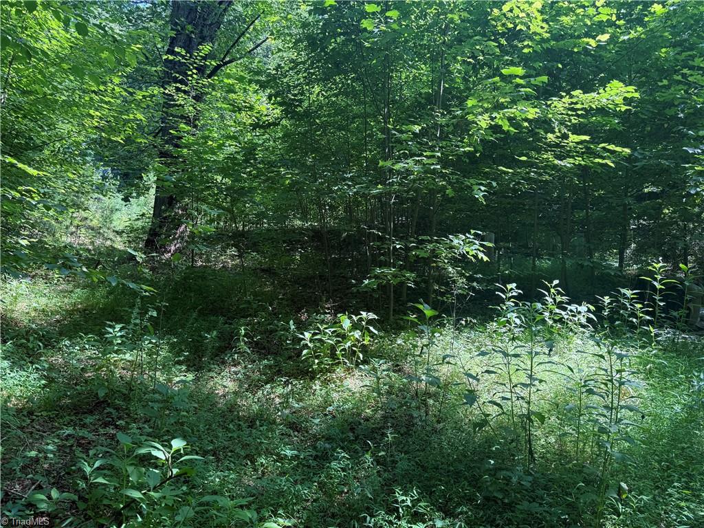 24 Copperhead Road Cana, VA 24317 - Photo 3 of 7