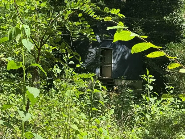 $20,000 | 24 Copperhead Road, Cana, VA 24317