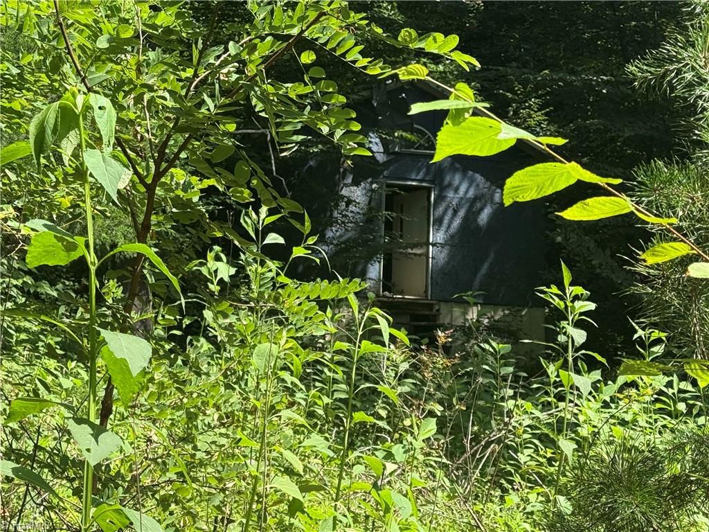 24 Copperhead Road Cana, VA 24317 - Photo 4 of 7