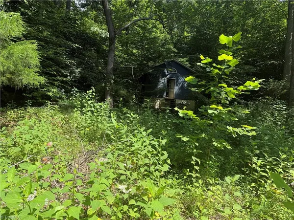 $20,000 | 24 Copperhead Road, Cana, VA 24317