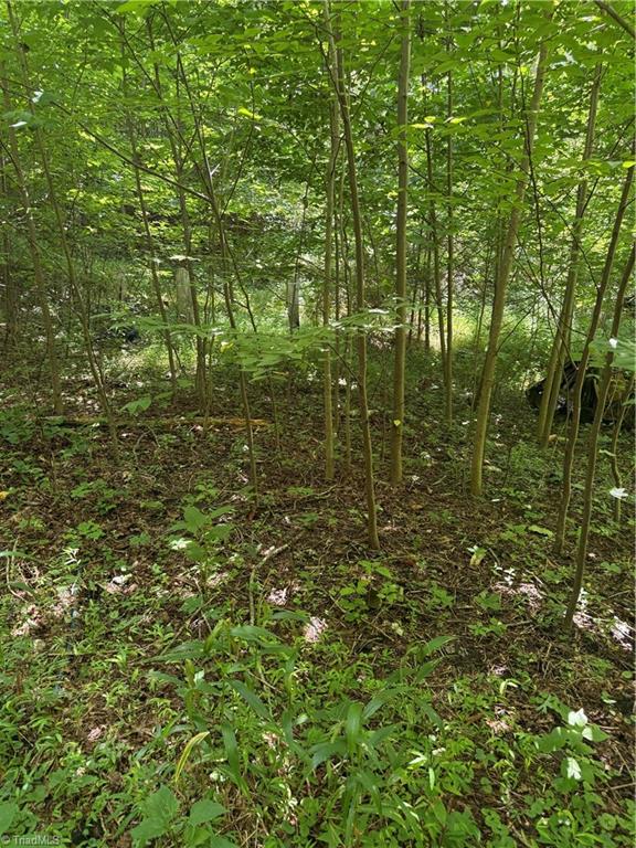 24 Copperhead Road Cana, VA 24317 - Photo 6 of 7