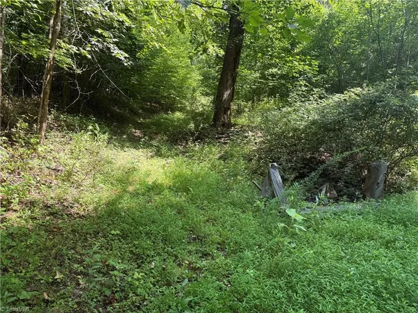 $20,000 | 24 Copperhead Road, Cana, VA 24317