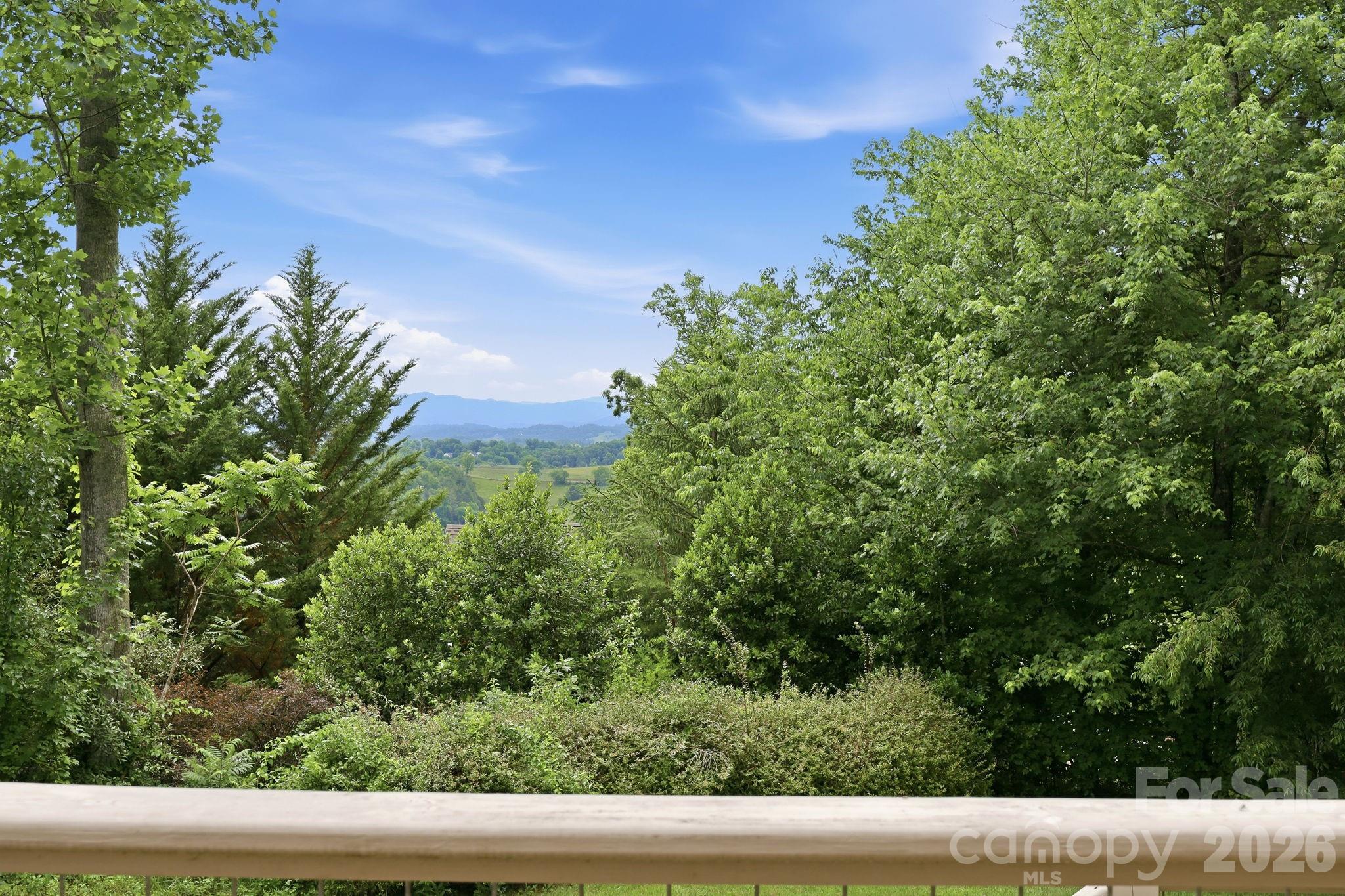 65 Buckle Ridge Weaverville, NC 28787 - Photo 13 of 46
