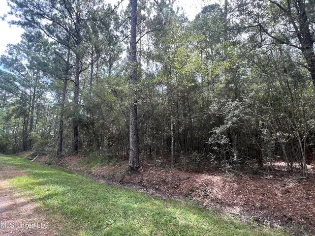 $12,500 | Nhn Tampa Circle, Pearlington, MS 39572