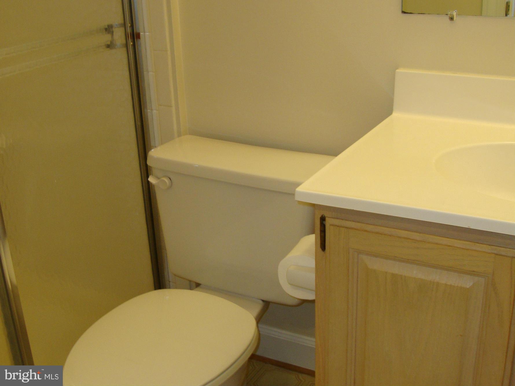 5567 Rivendell Place Frederick, MD 21703 - Photo 22 of 27 Full Bath on the Lower Level
