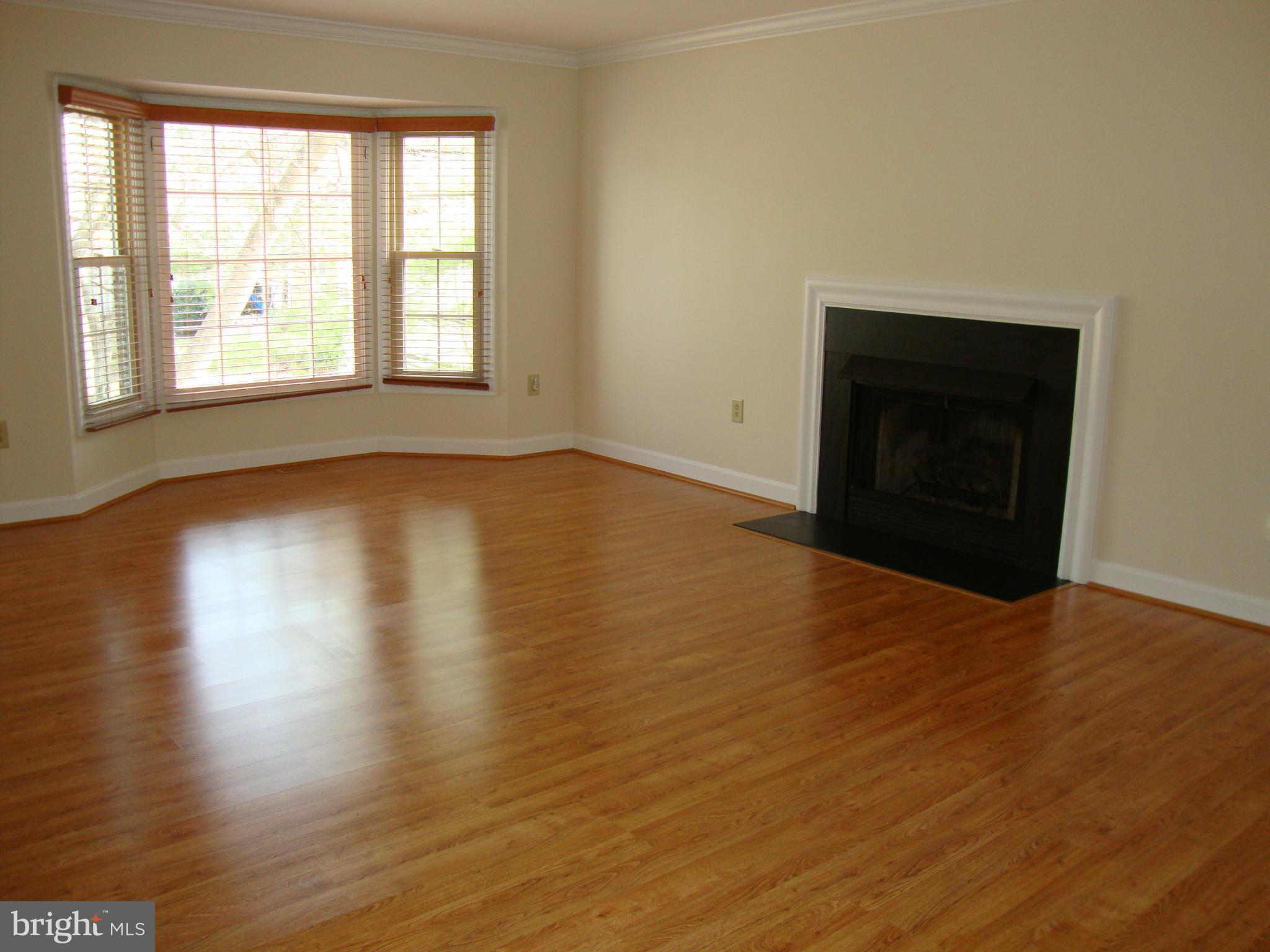 5567 Rivendell Place Frederick, MD 21703 - Photo 9 of 27 Huge Living Room with a Fireplace