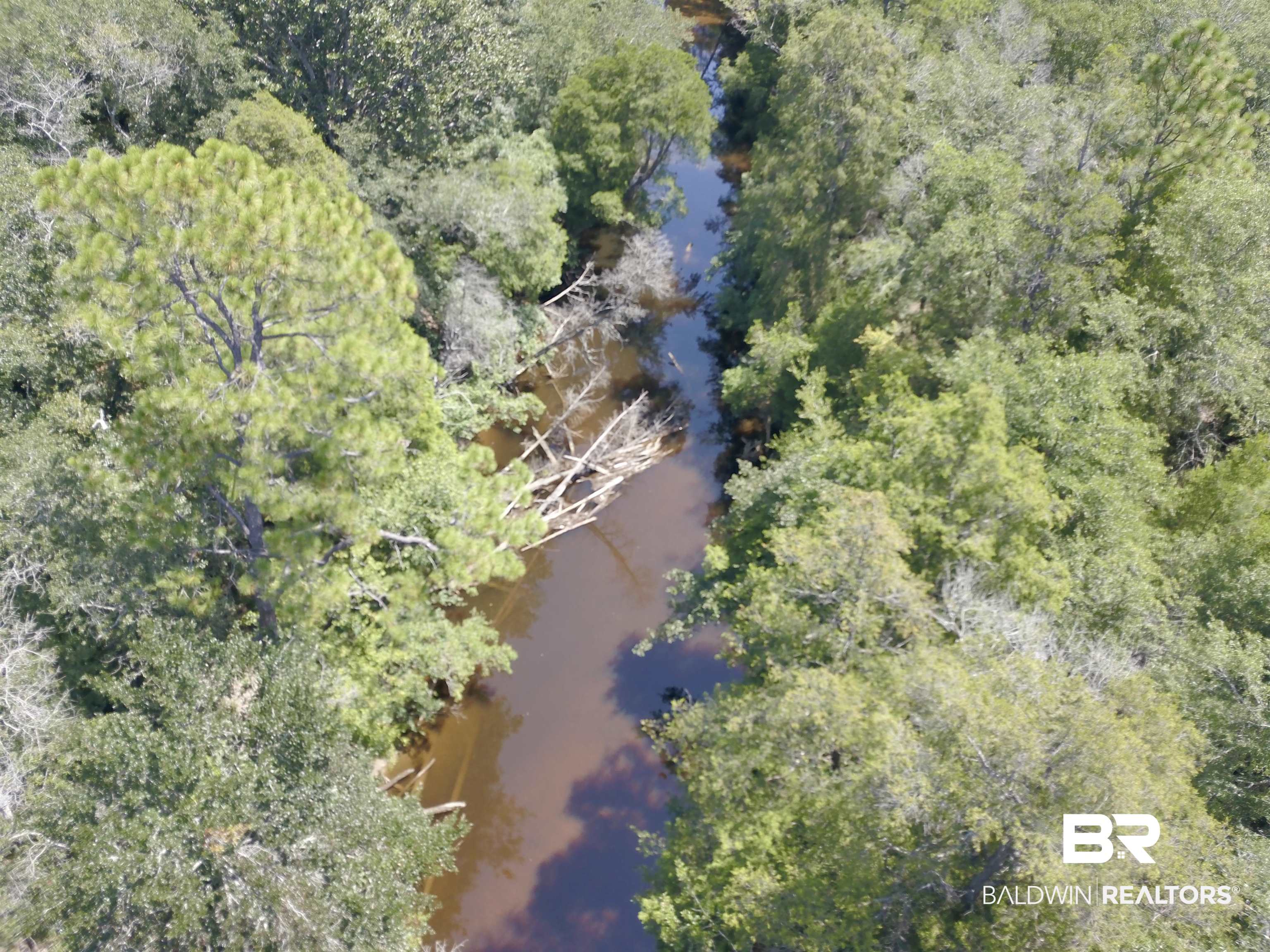 17175 Kelly Road Mount Vernon, AL 36560 - Photo 4 of 30 Birds eye view of property