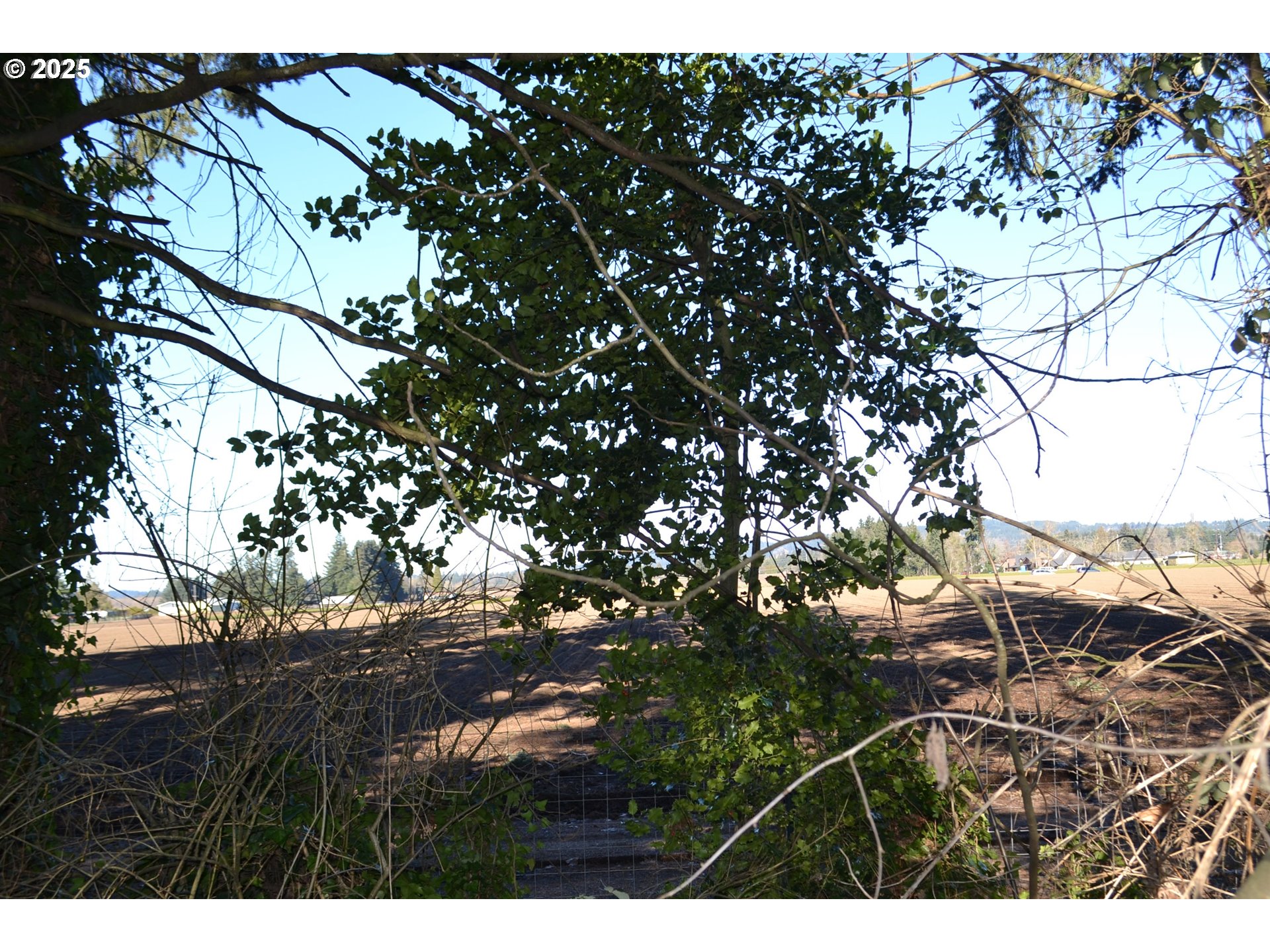 594 Northwest Territorial Road Canby, OR 97013 - Photo 23 of 24 Gallery Image 23