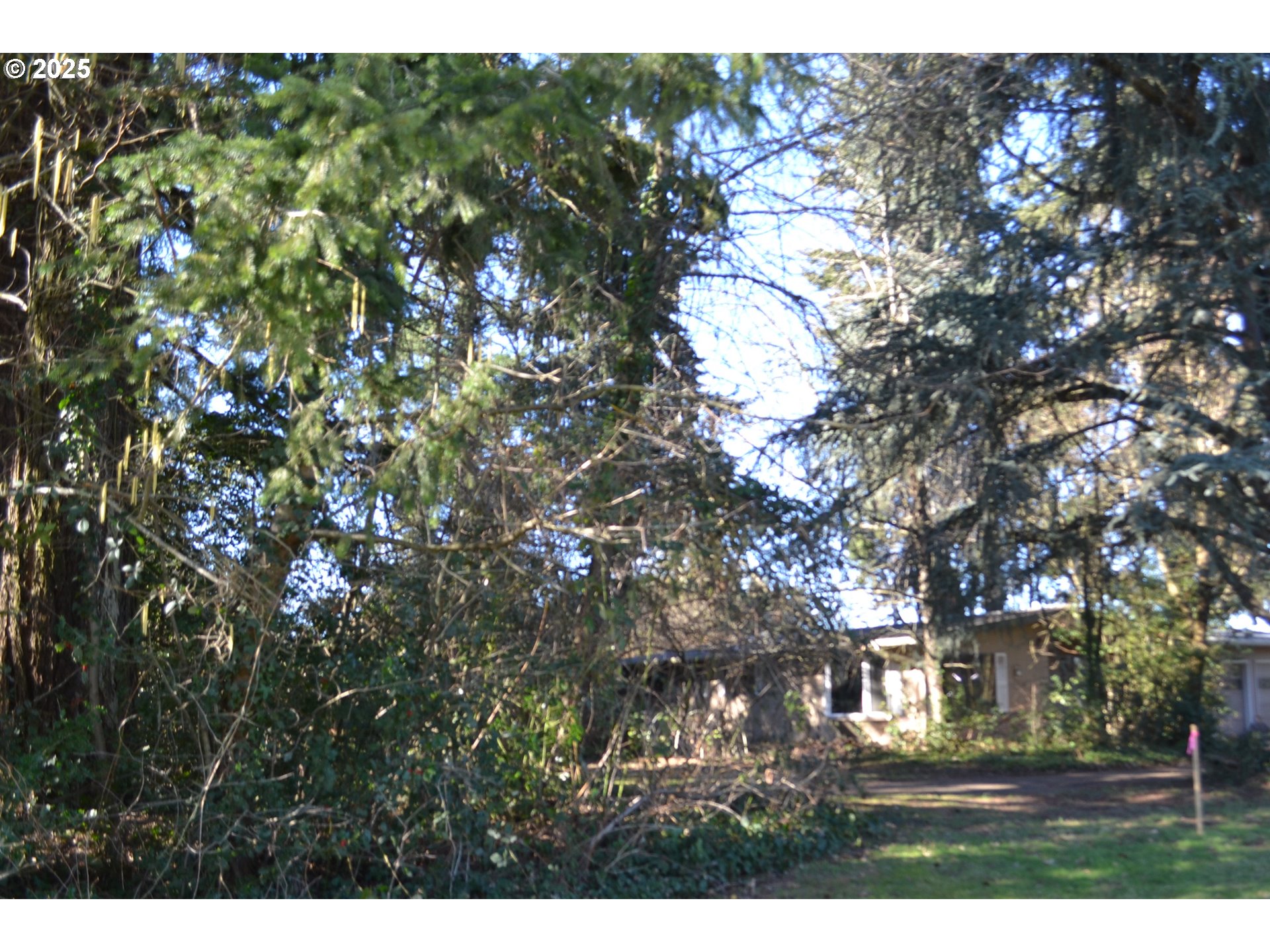594 Northwest Territorial Road Canby, OR 97013 - Photo 7 of 24 Gallery Image 7
