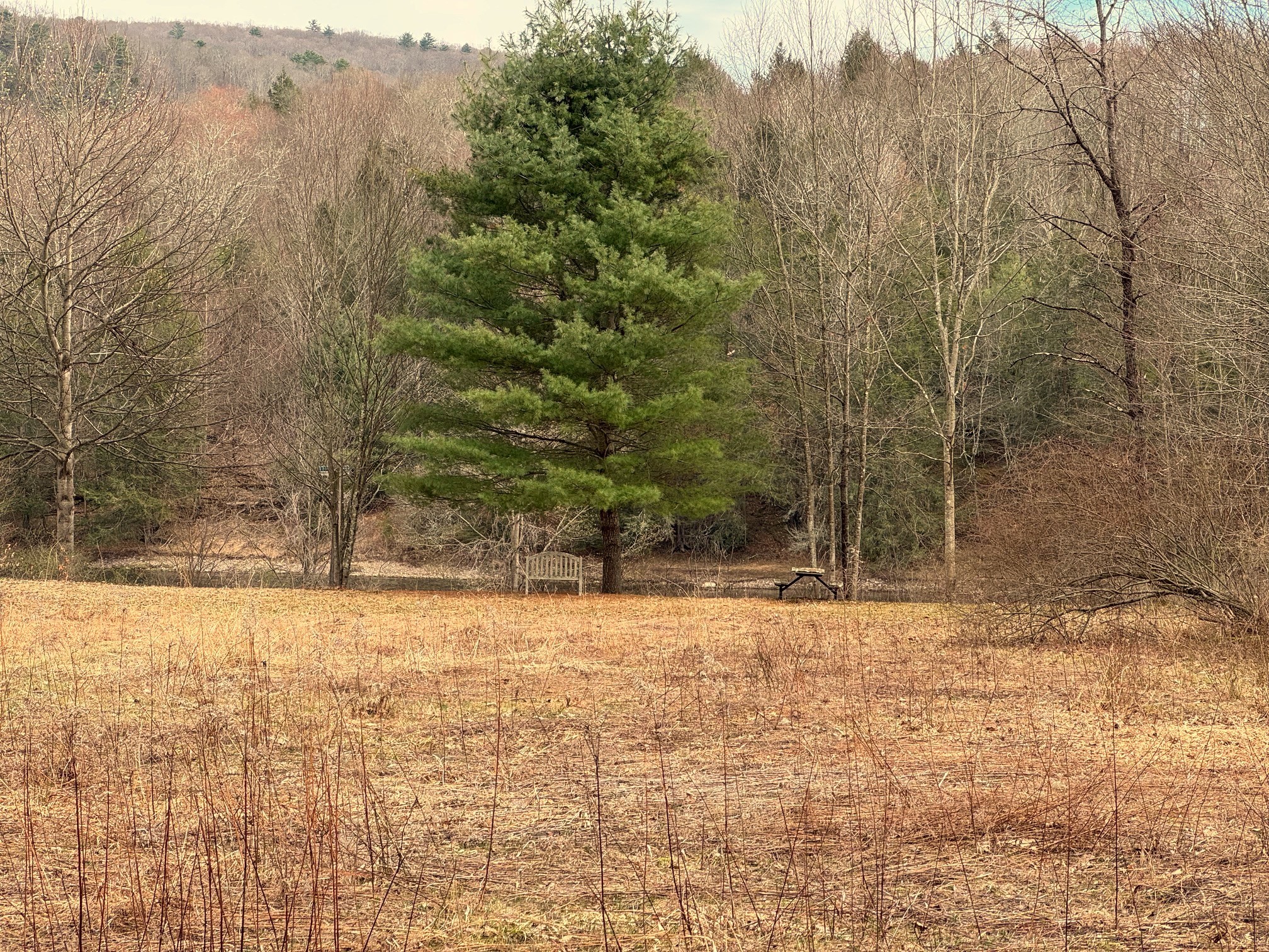 2522 Bouchouxville Road Hancock, NY 13783 - Photo 40 of 50