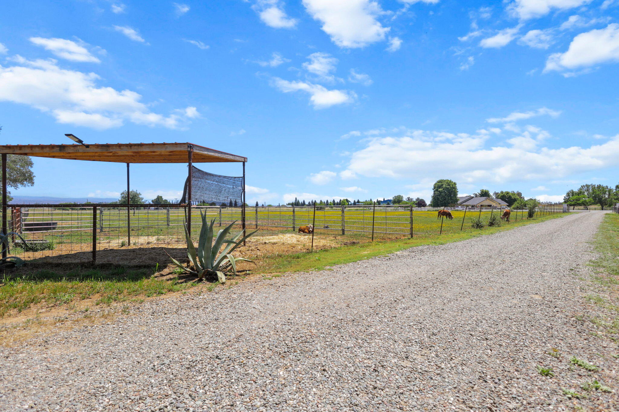 12481 Paskenta Road Red Bluff, CA 96080 - Photo 48 of 82 40-web-or-mls-8Q0A0276