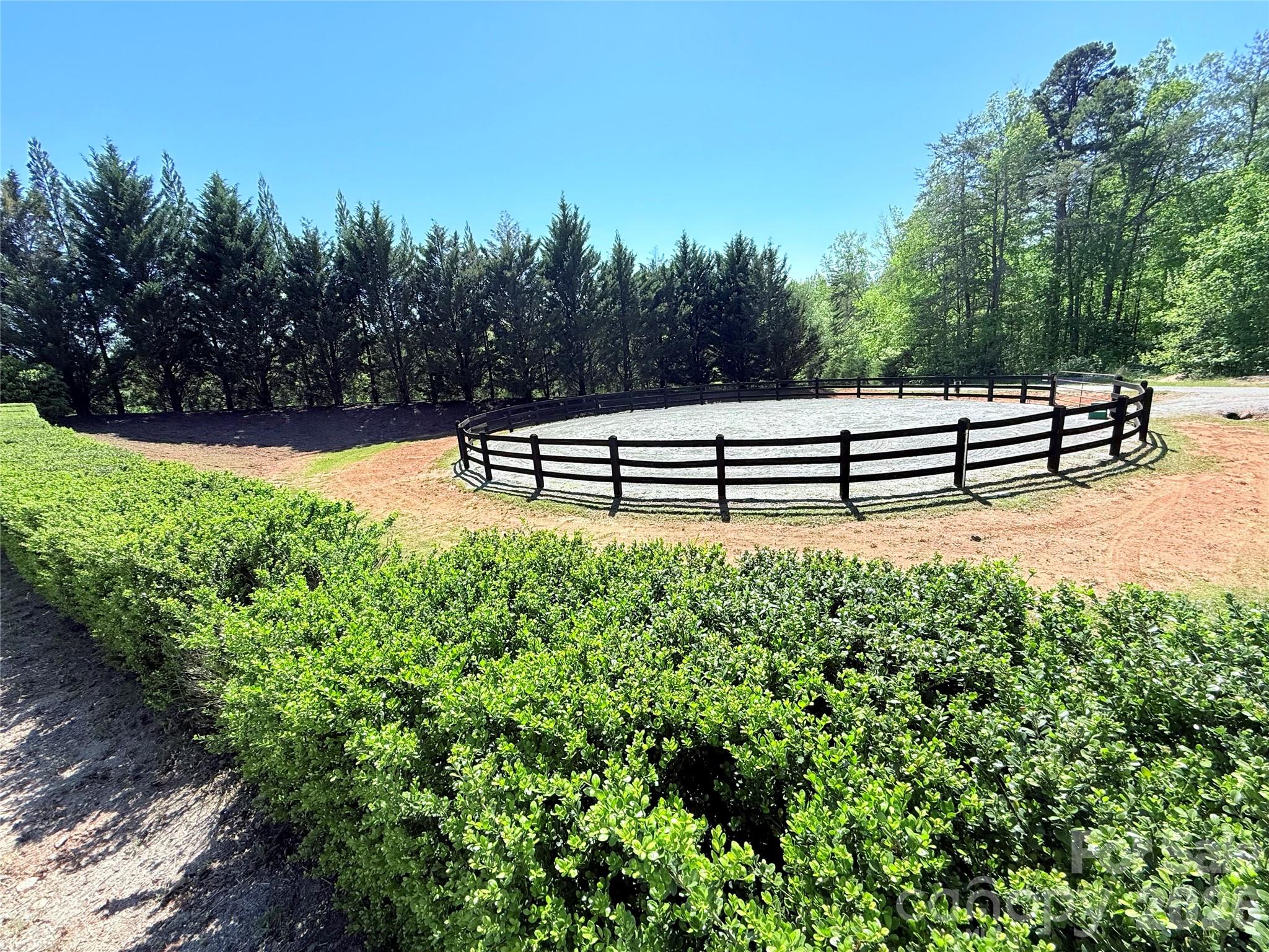 0 Mapleton Lane Columbus, NC 28722 - Photo 14 of 26 a view of a bench in the garden