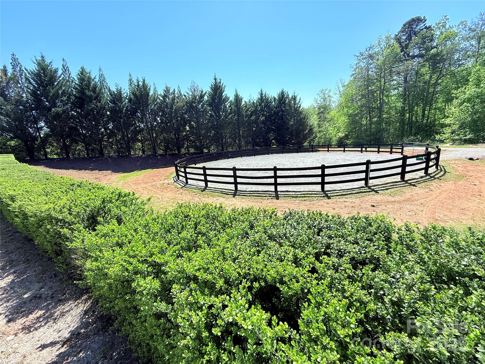 0 Mapleton Lane Columbus, NC 28722 - Photo 16 of 26 a view of a bench in the garden