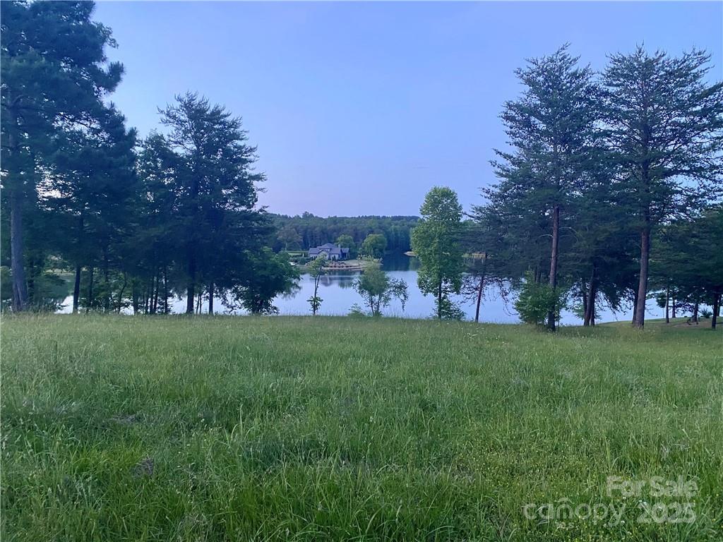 0 Mapleton Lane Columbus, NC 28722 - Photo 6 of 26 a view of a park with large trees