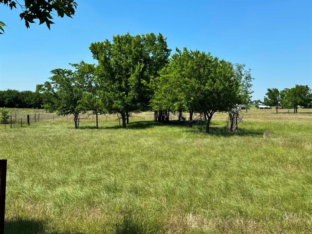 4444 Belz Road Sanger, TX 76266 - Photo 3 of 13 a view of green field with trees