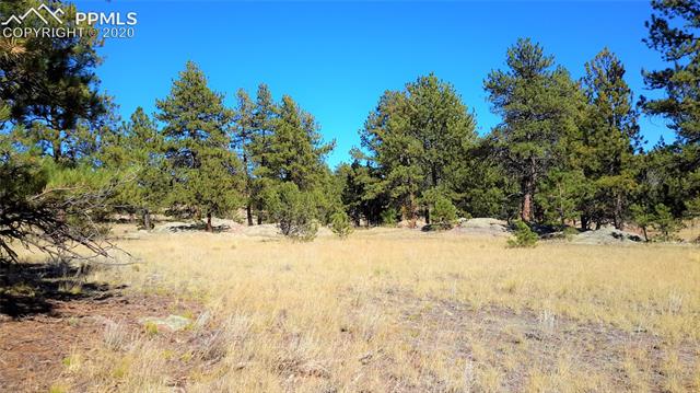 178 Carl Road Guffey, CO 80820 - Photo 8 of 11 Secluded, private and quiet. Most eastern section of the parcel.