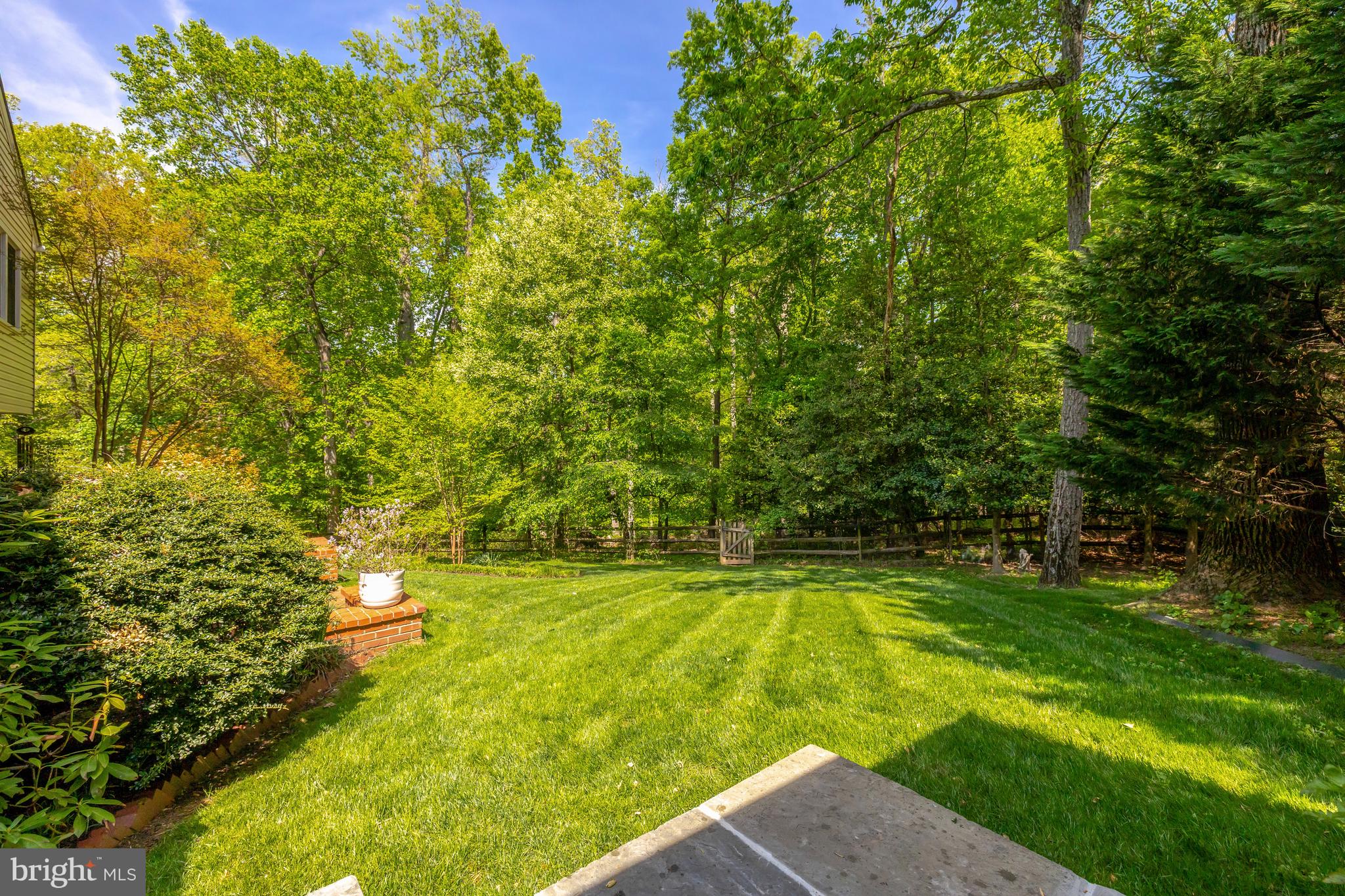 9001 Streamview Lane Vienna, VA 22182 - Photo 60 of 64 a view of a large yard with large trees