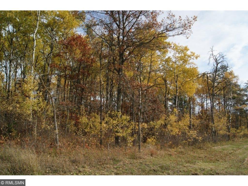 19 County 19 Akeley, MN 56433 - Photo 1 of 1 Gallery Image 1