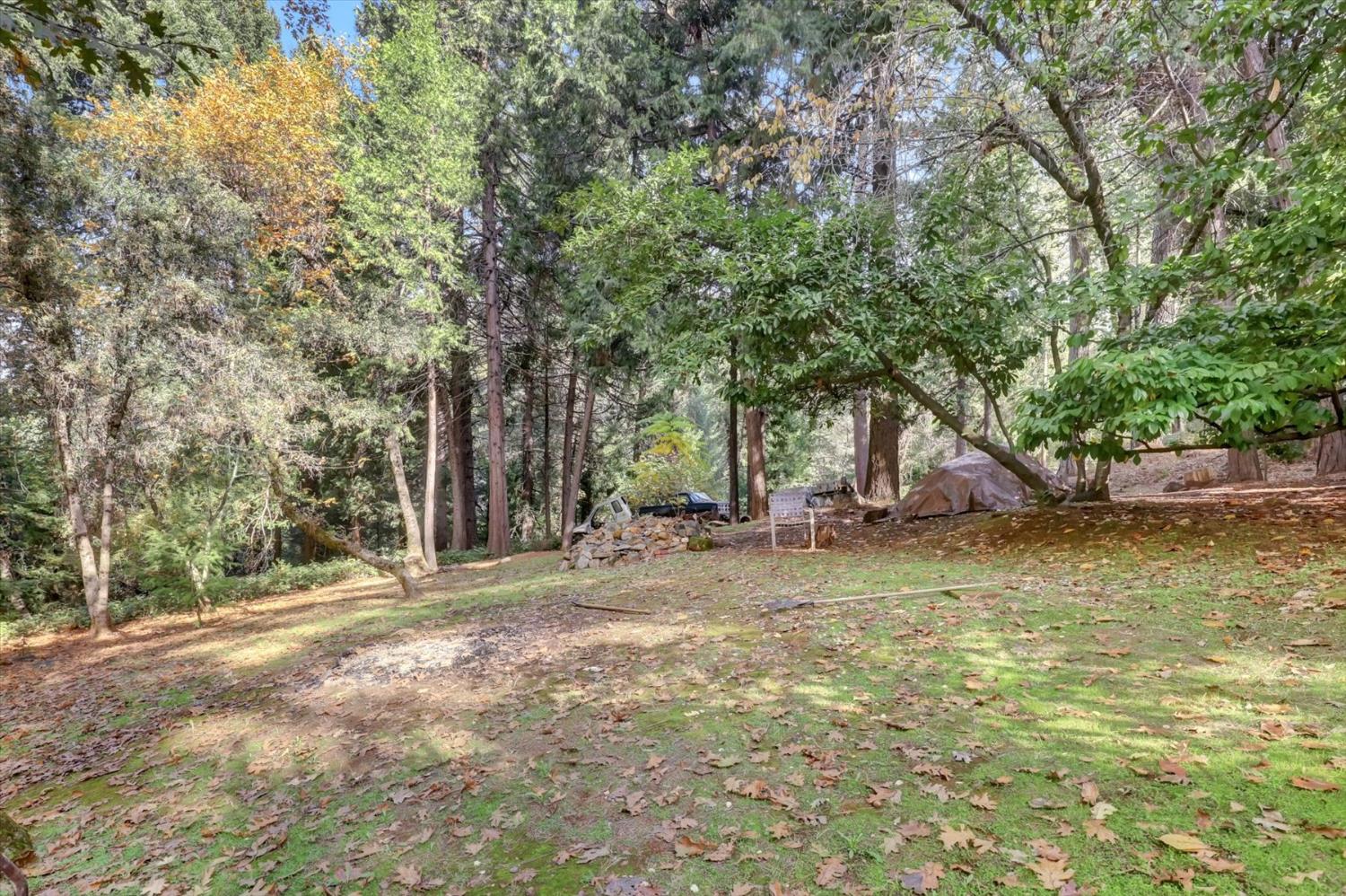 10046 Smith Road Grass Valley, CA 95949 - Photo 43 of 52 a view of a yard with a tree