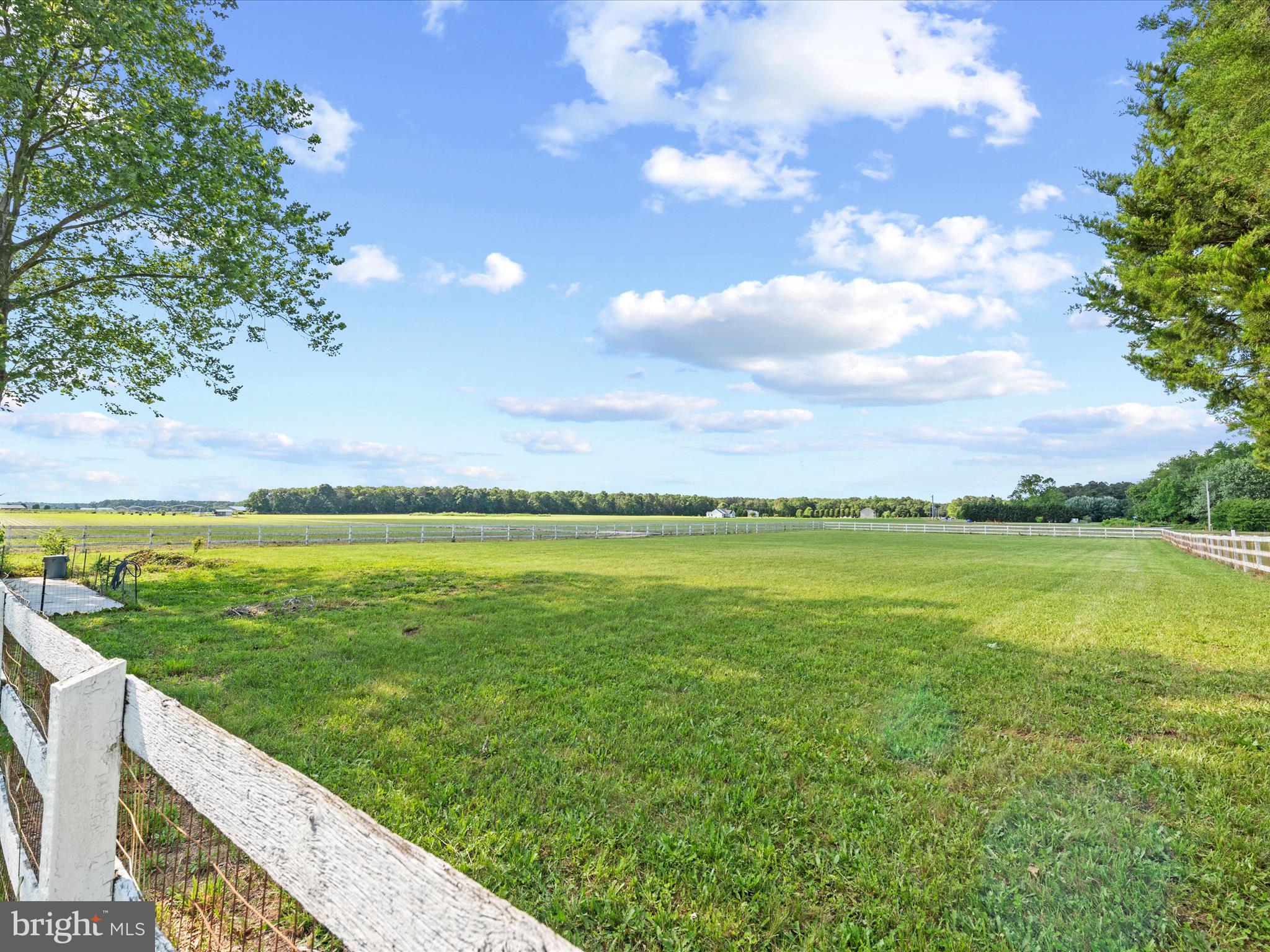 22998 Rum Bridge Road Georgetown, DE 19947 - Photo 5 of 44 Backyard Views!