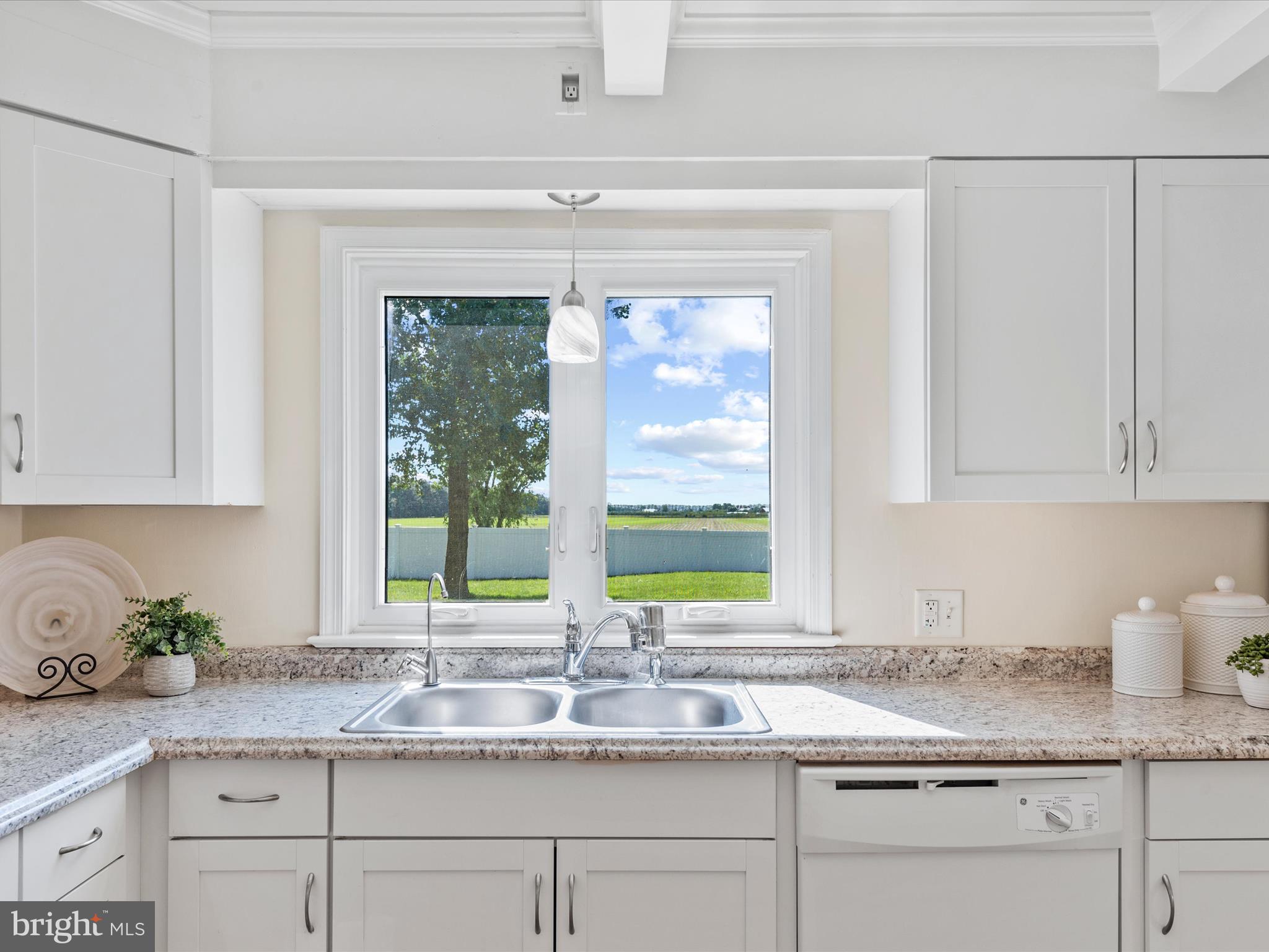 22998 Rum Bridge Road Georgetown, DE 19947 - Photo 10 of 44 Double Sink, Backyard Views!