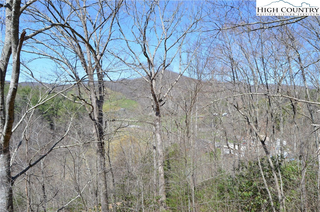 1982 Mast Gap Road Sugar Grove, NC 28679 - Photo 3 of 41 Gallery Image 3