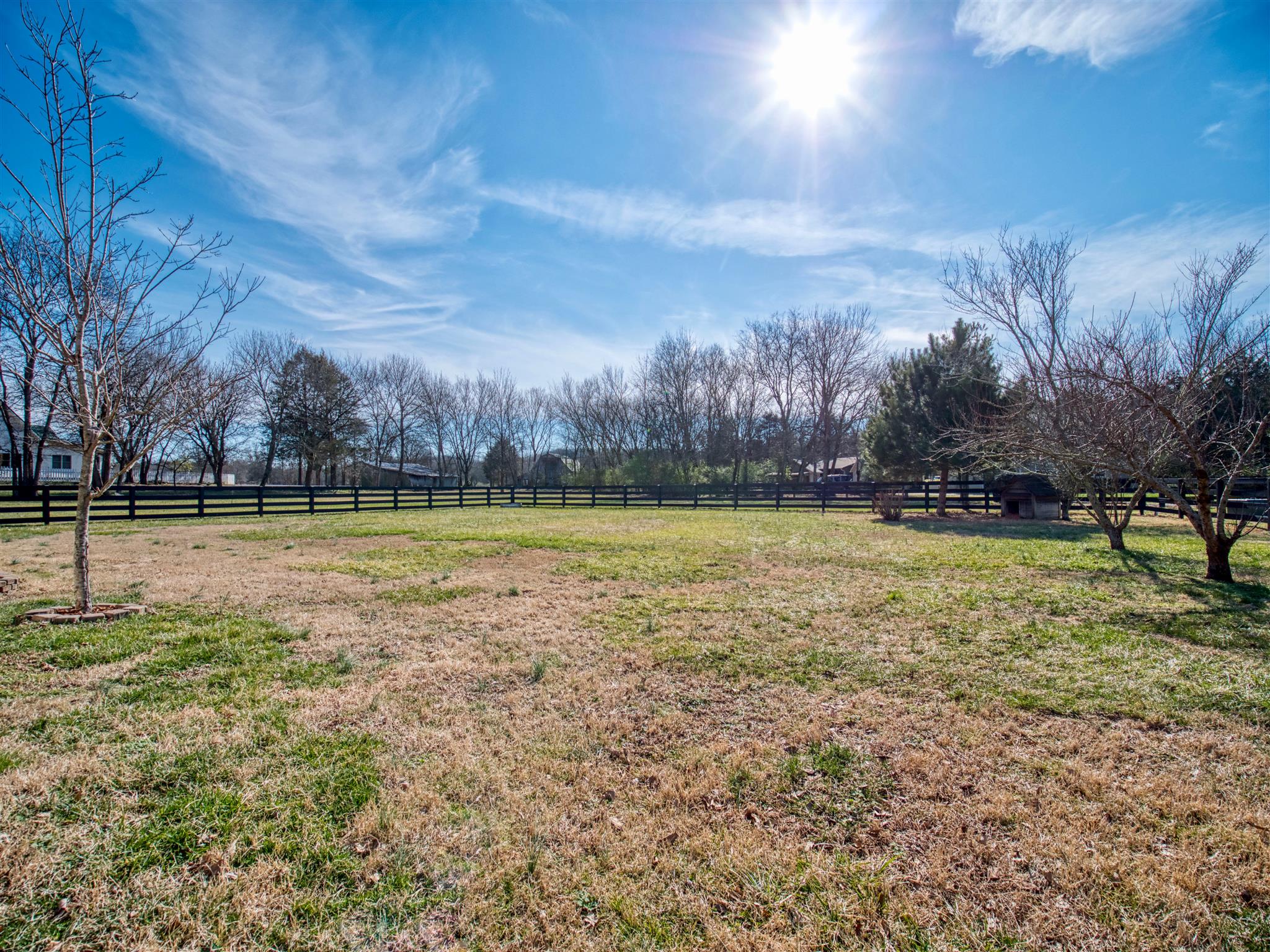 4155 Coleman Hill Road Rockvale, TN 37153 - Photo 4 of 30 View of fenced 1 acre lot