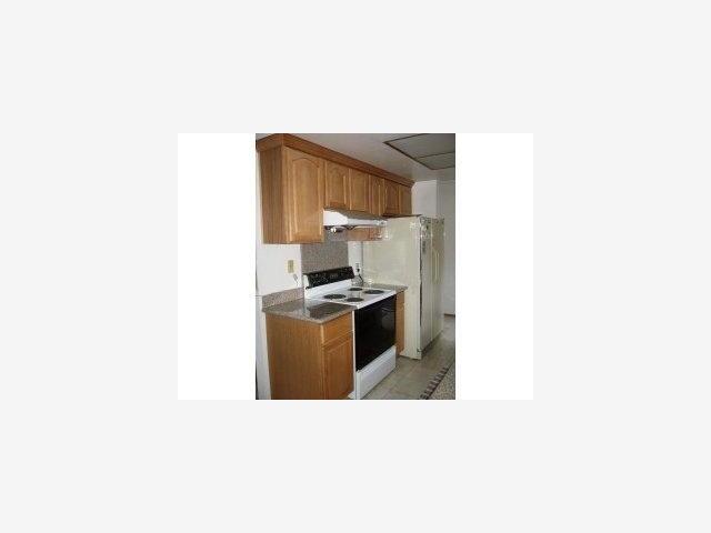 1107 Reed Avenue, Unit A Sunnyvale, CA 94086 - Photo 3 of 5 Gallery Image 3