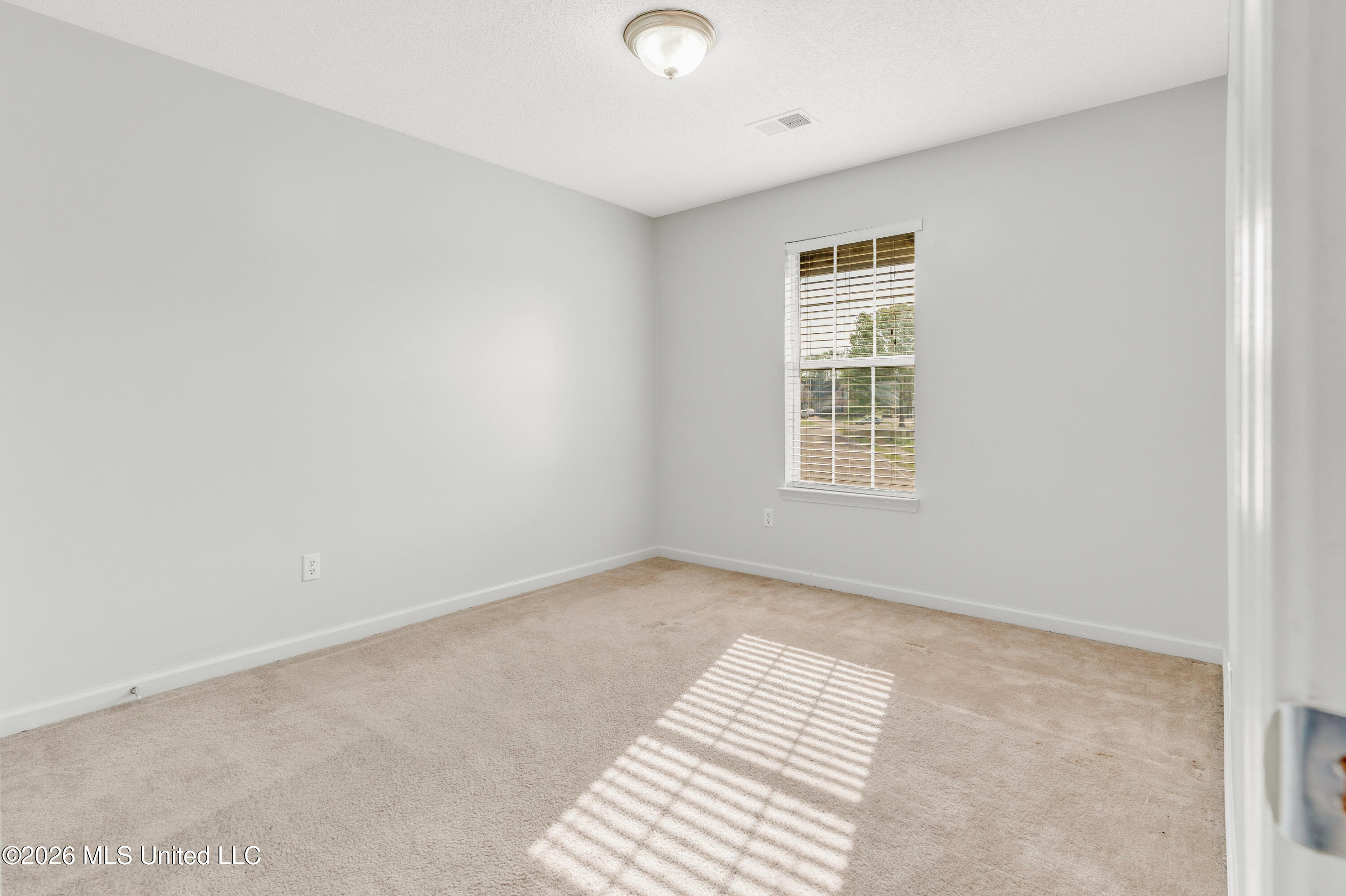 8961 Sweet Flag Loop Southaven, MS 38671 - Photo 12 of 24 IMG_4723