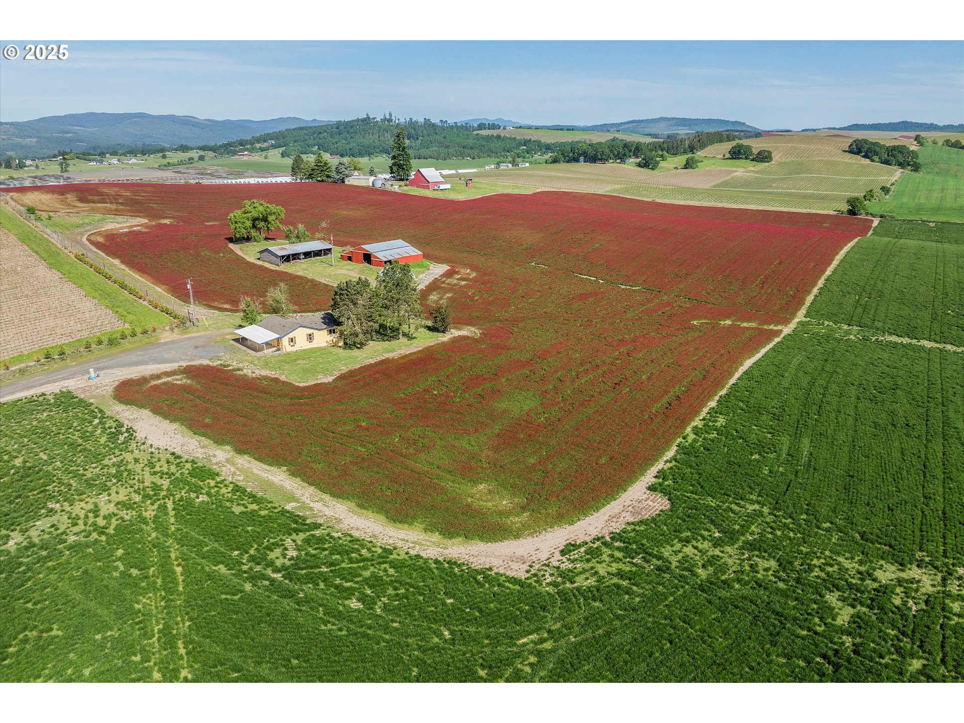 9030 Northwest Pike Road Yamhill, OR 97148 - Photo 38 of 48