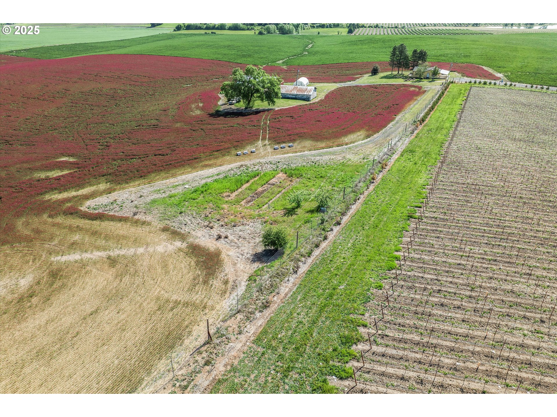 9030 Northwest Pike Road Yamhill, OR 97148 - Photo 40 of 48