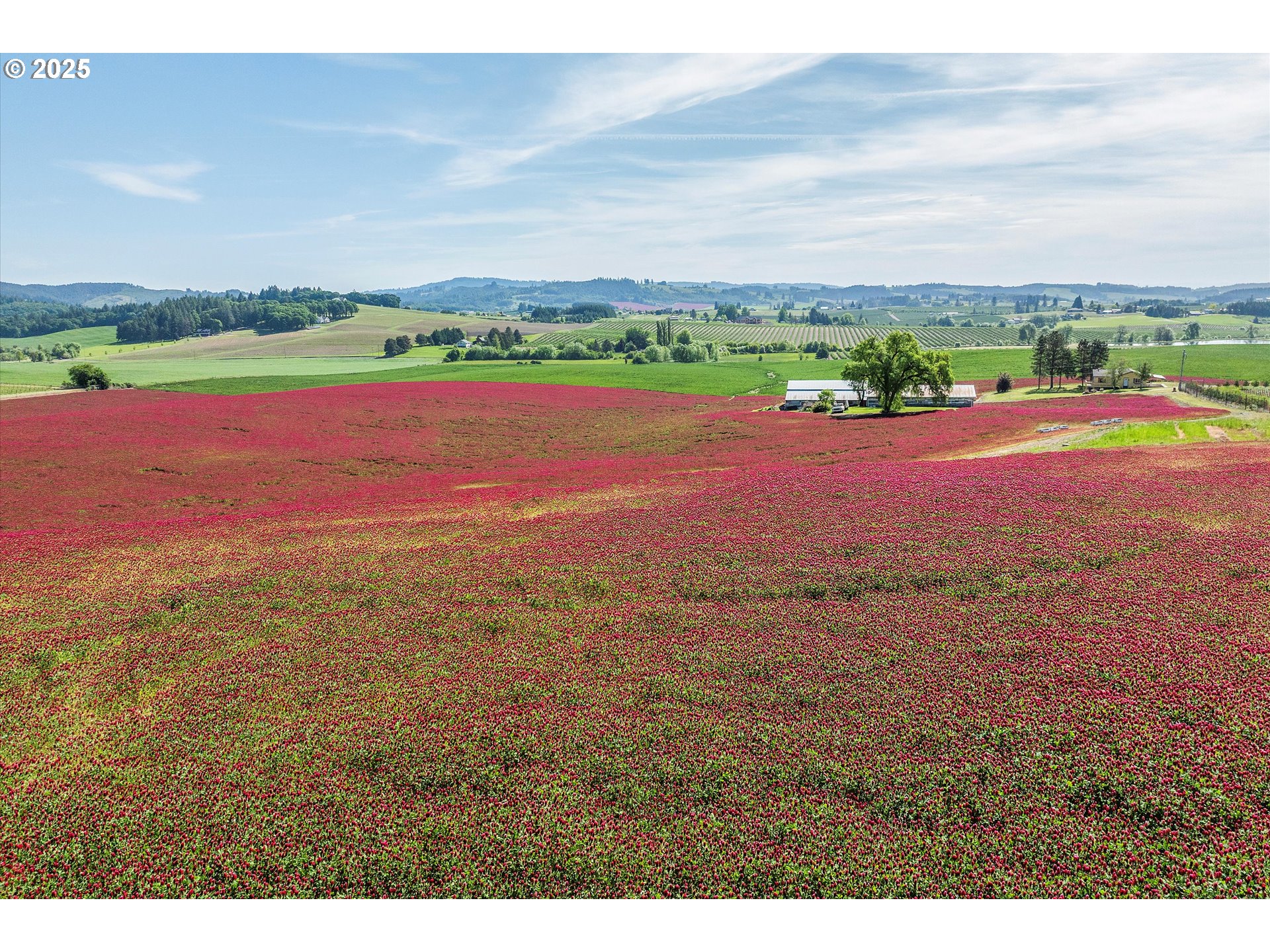 9030 Northwest Pike Road Yamhill, OR 97148 - Photo 44 of 48