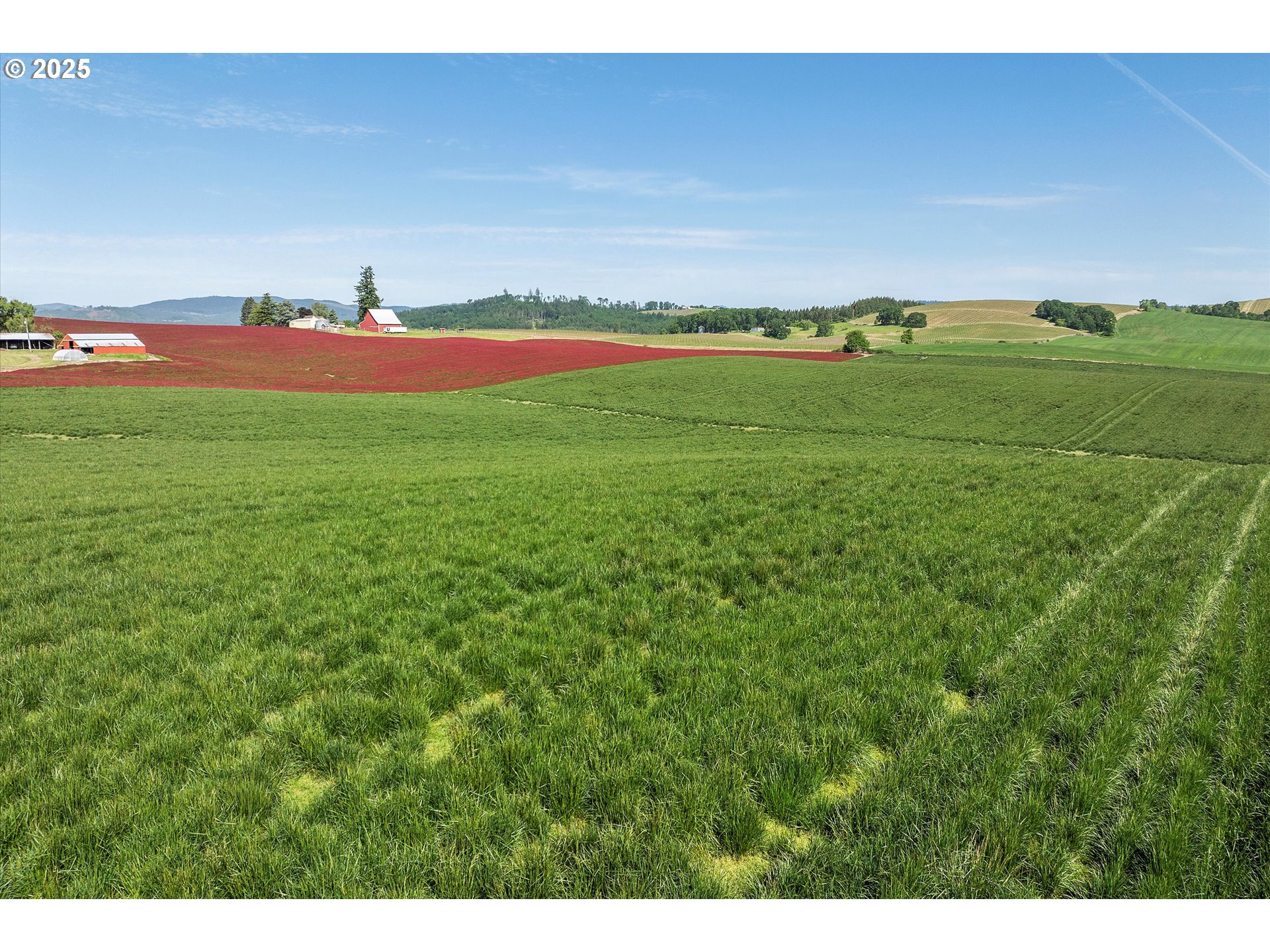 9030 Northwest Pike Road Yamhill, OR 97148 - Photo 45 of 48