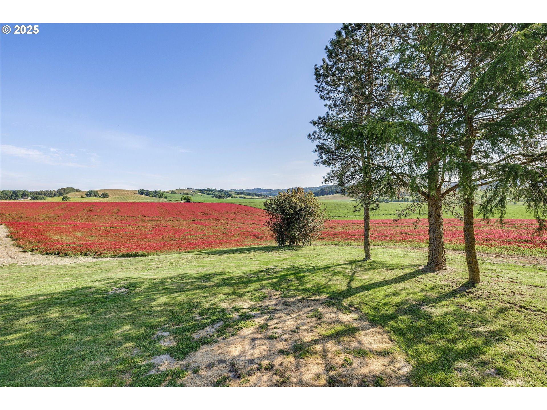 9030 Northwest Pike Road Yamhill, OR 97148 - Photo 48 of 48