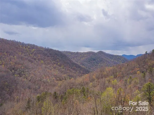 a view of a dry field