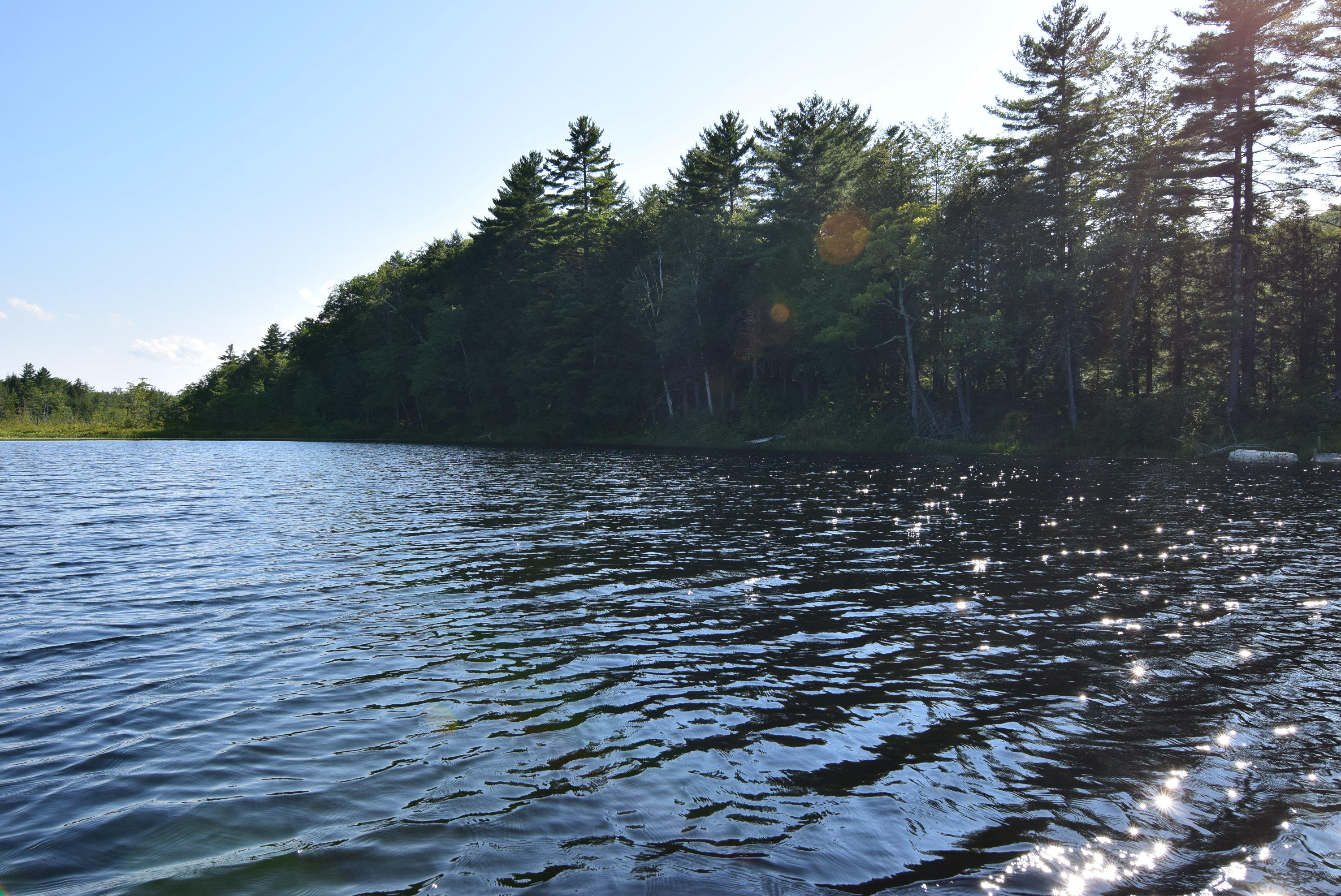 236 Chesterville Ridge Road Kents Hill, ME 04349 - Photo 38 of 41 38-island