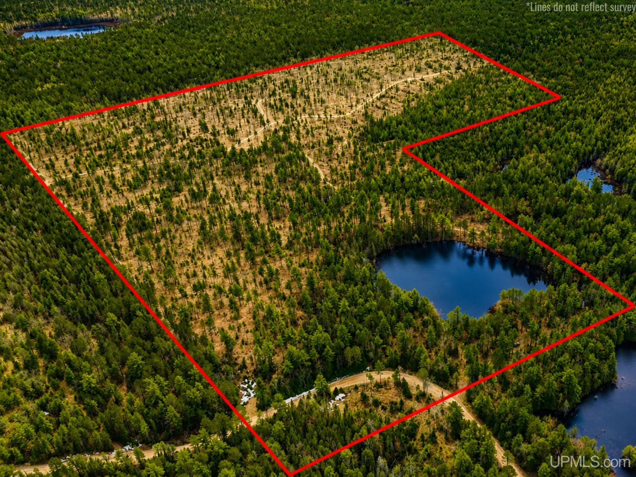 410 Rd Newberry Mi 49868 Road Newberry, MI 49868 - Photo 2 of 36