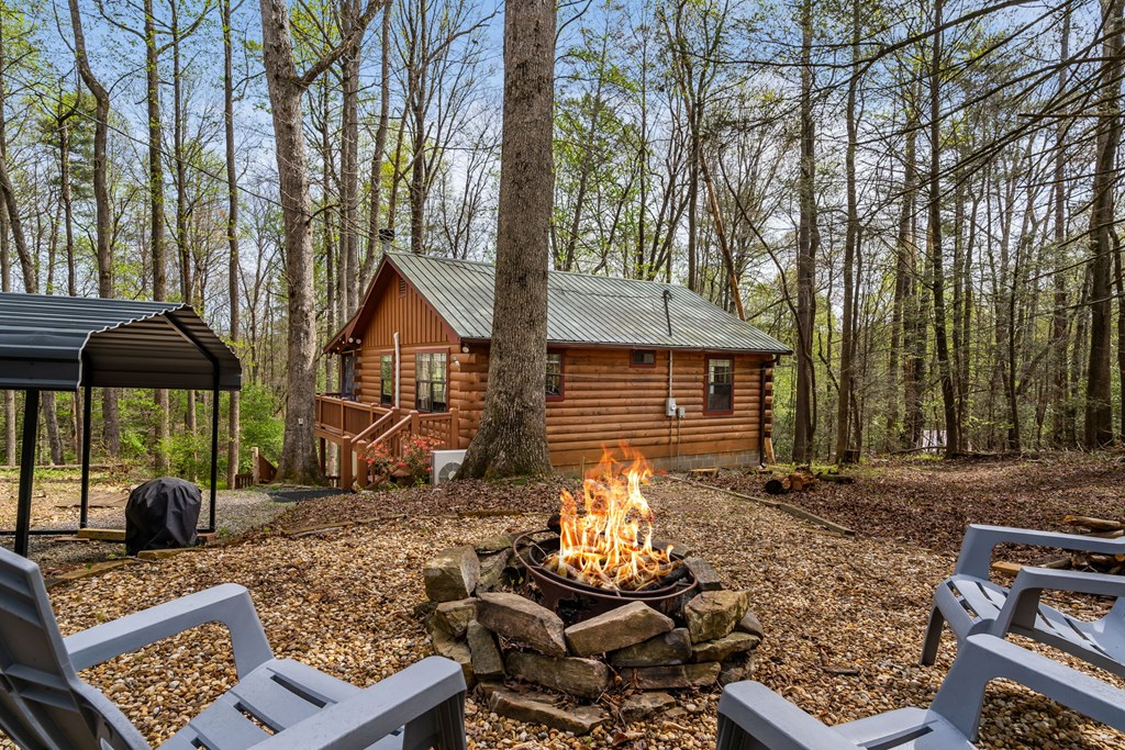 159 Pack Creek Road Blue Ridge, GA 30513 - Photo 12 of 42 Gallery Image 12