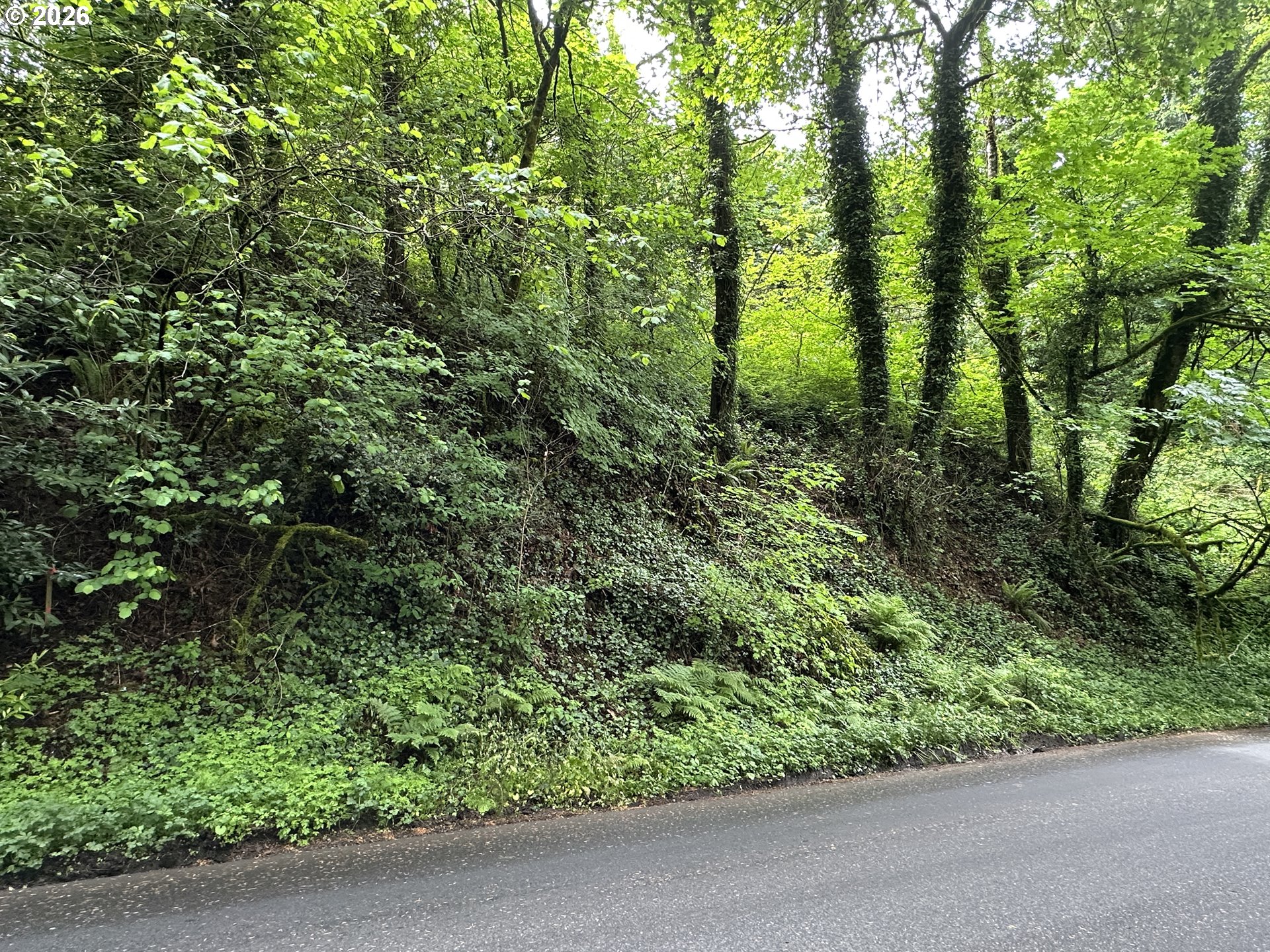 0 Southwest Mcdonnell Portland, OR 97239 - Photo 12 of 17 a view of a lush green forest